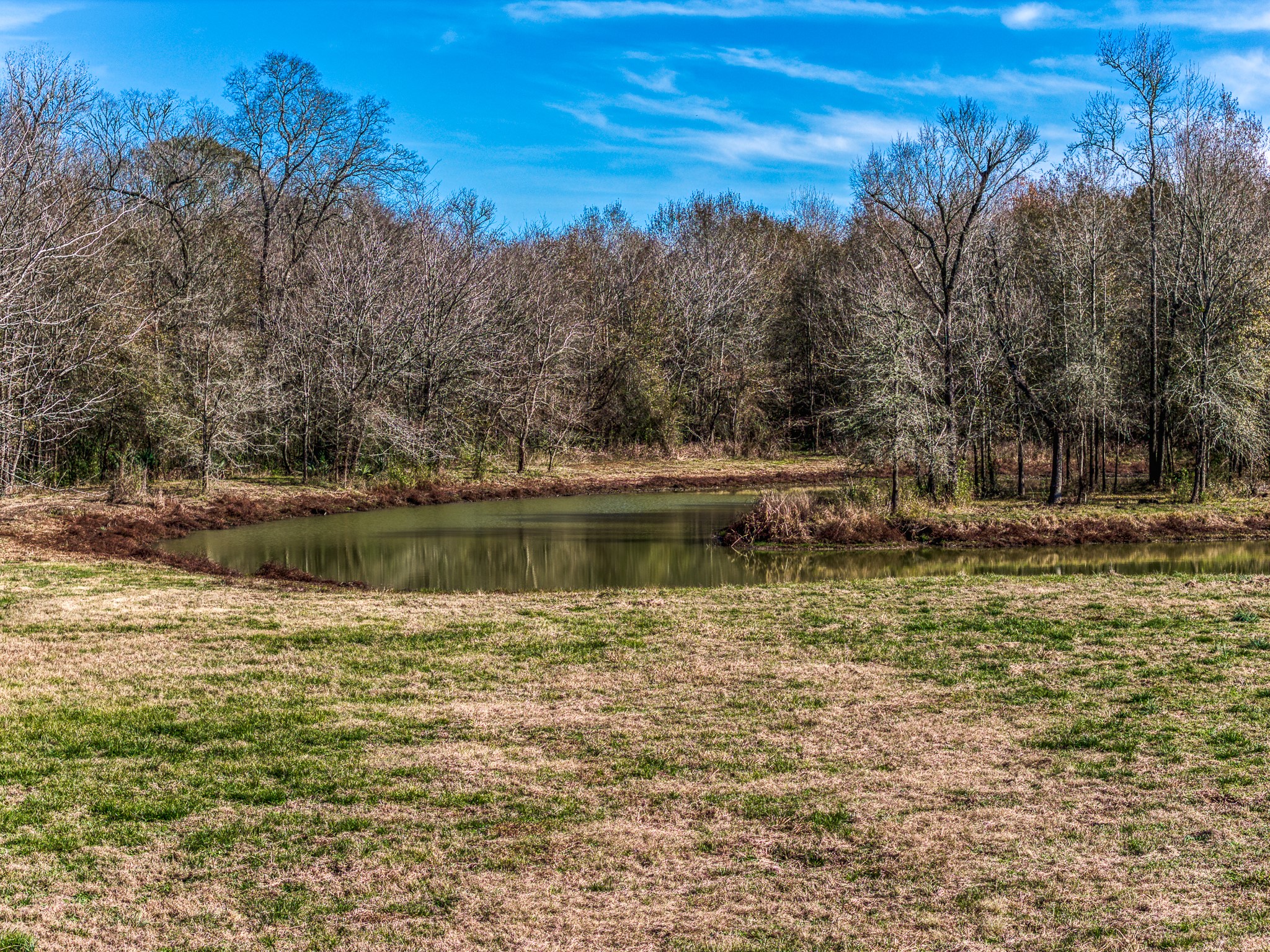a view of a lake with a mountain