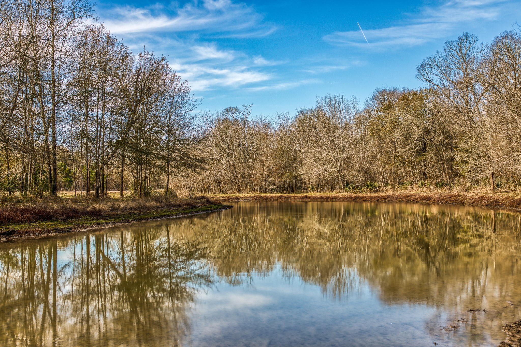 5280 Whitaker Way Navasota, TX 77868 - Photo 18 of 21 a view of a lake with trees in the background