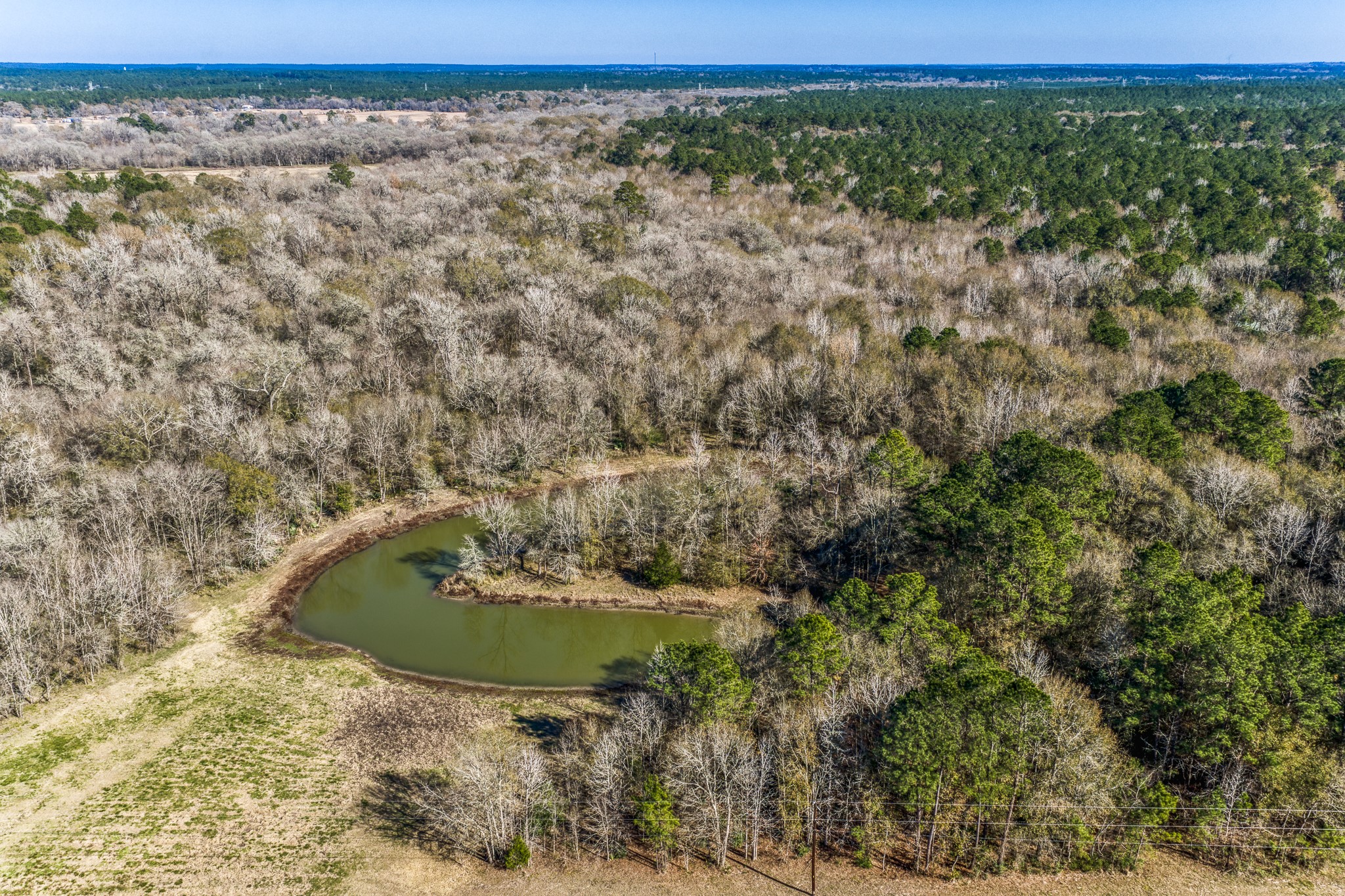 5280 Whitaker Way Navasota, TX 77868 - Photo 3 of 21 a view of a dry yard with trees in the background