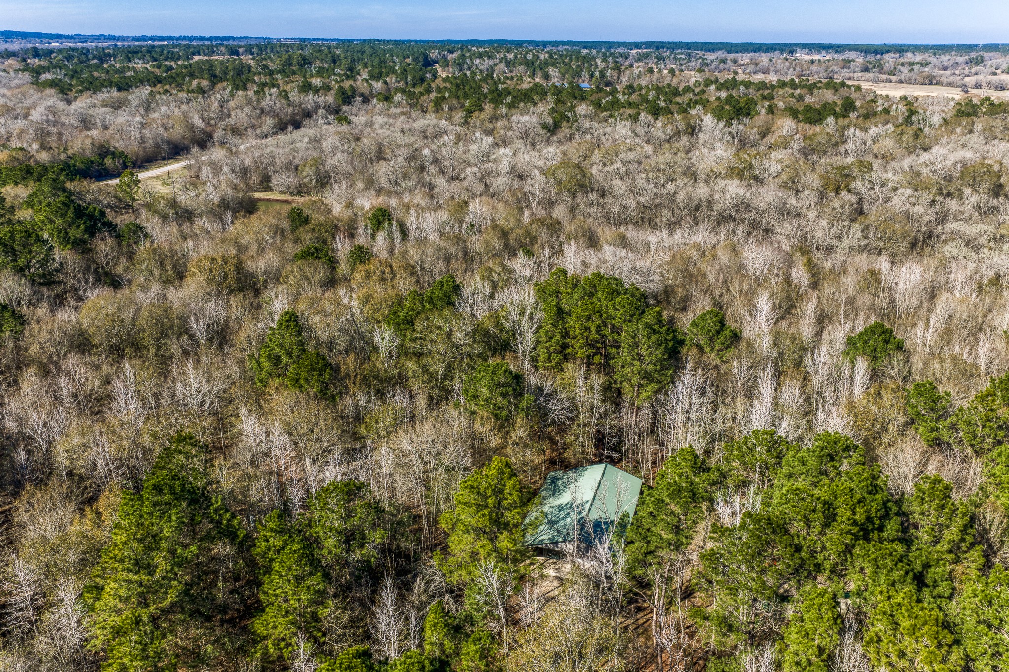 5280 Whitaker Way Navasota, TX 77868 - Photo 5 of 21 a view of a yard with a tree