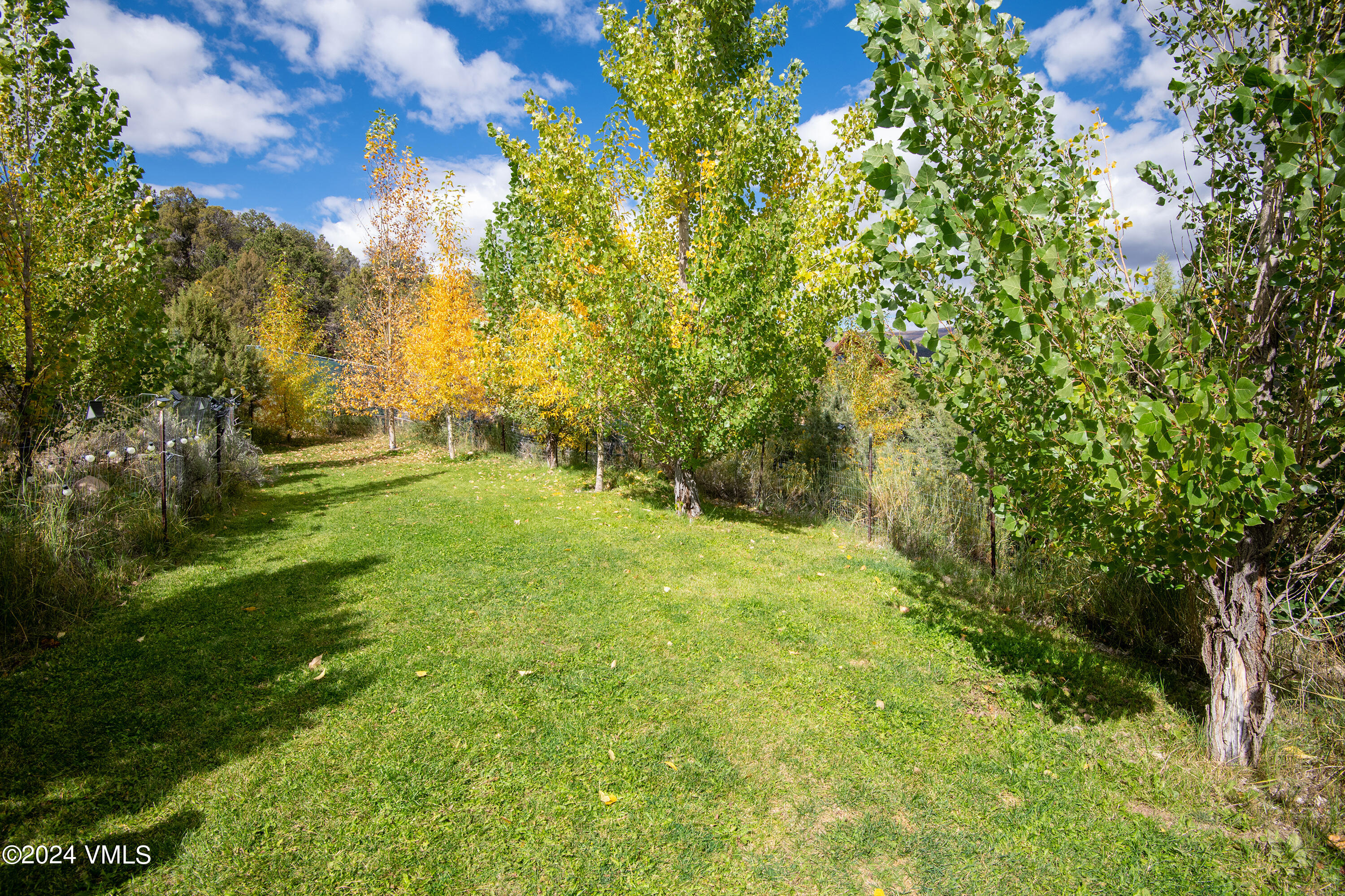 336 Castle Peak Road Eagle, CO 81631 - Photo 44 of 52 a view of outdoor space and yard