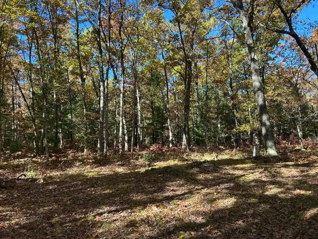 $99,900 | 6970 West 8 Mile Road, Irons, MI 49644