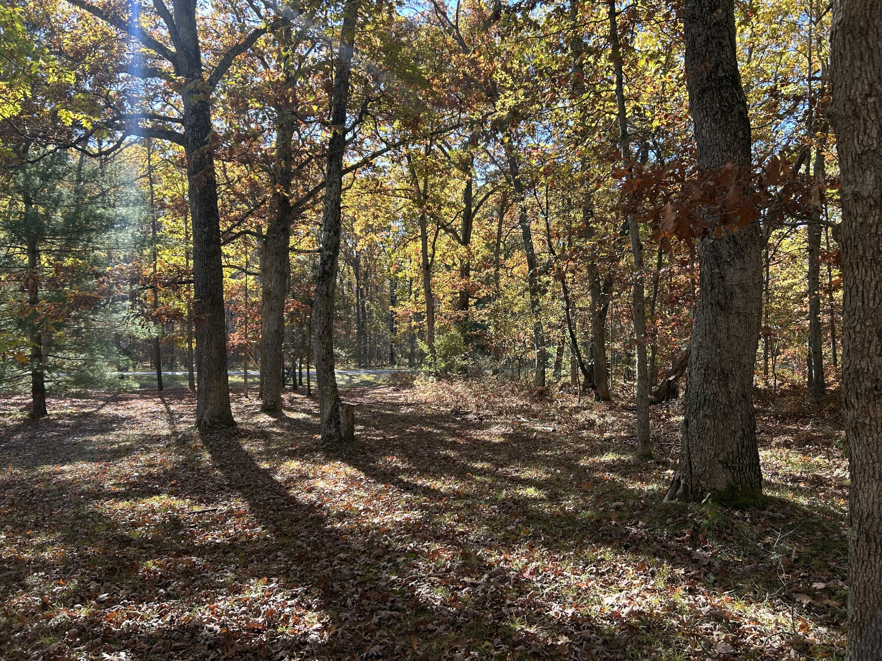 6970 West 8 Mile Road Irons, MI 49644 - Photo 22 of 23 IMG_5868