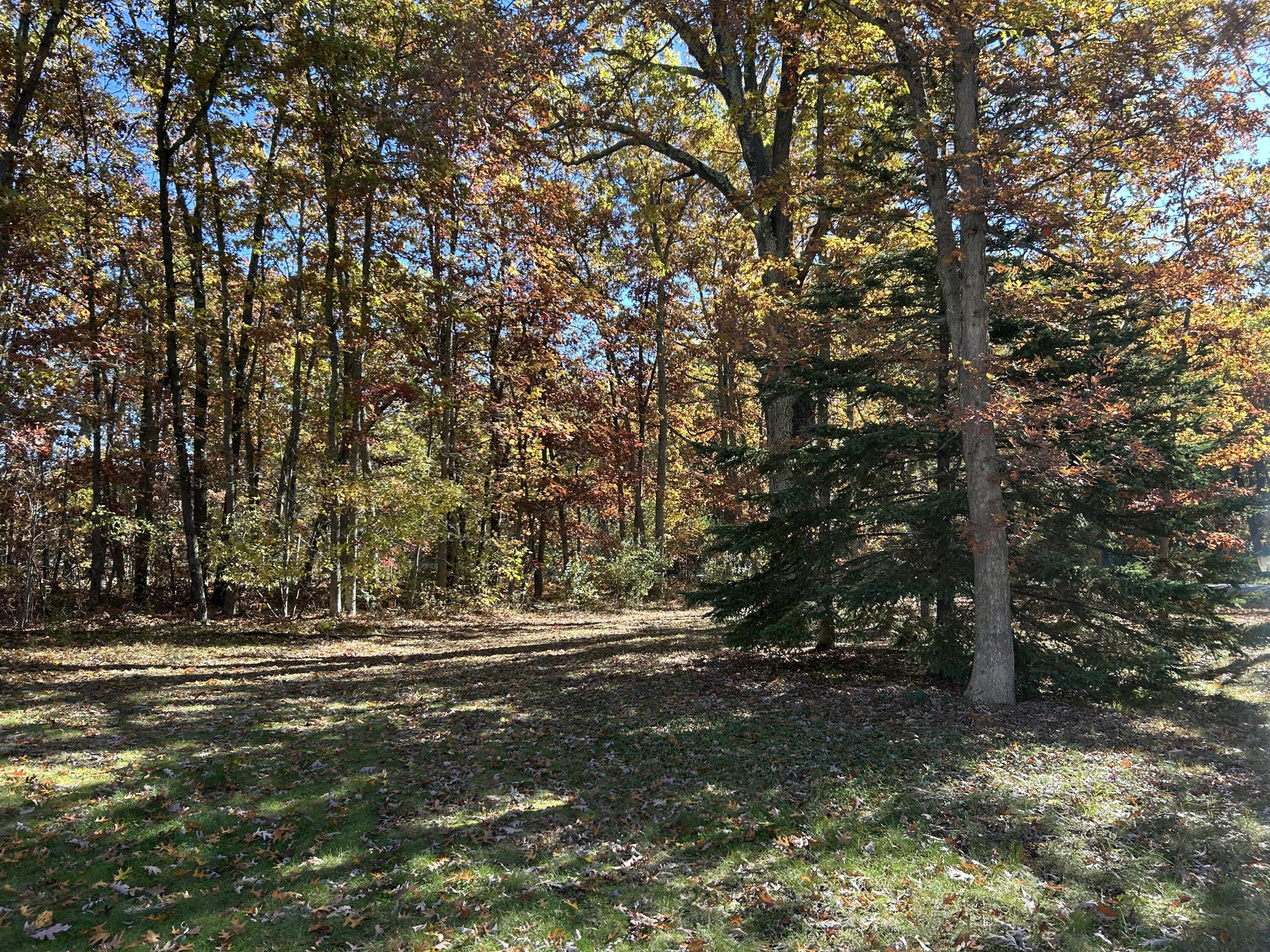 6970 West 8 Mile Road Irons, MI 49644 - Photo 23 of 23 IMG_5872