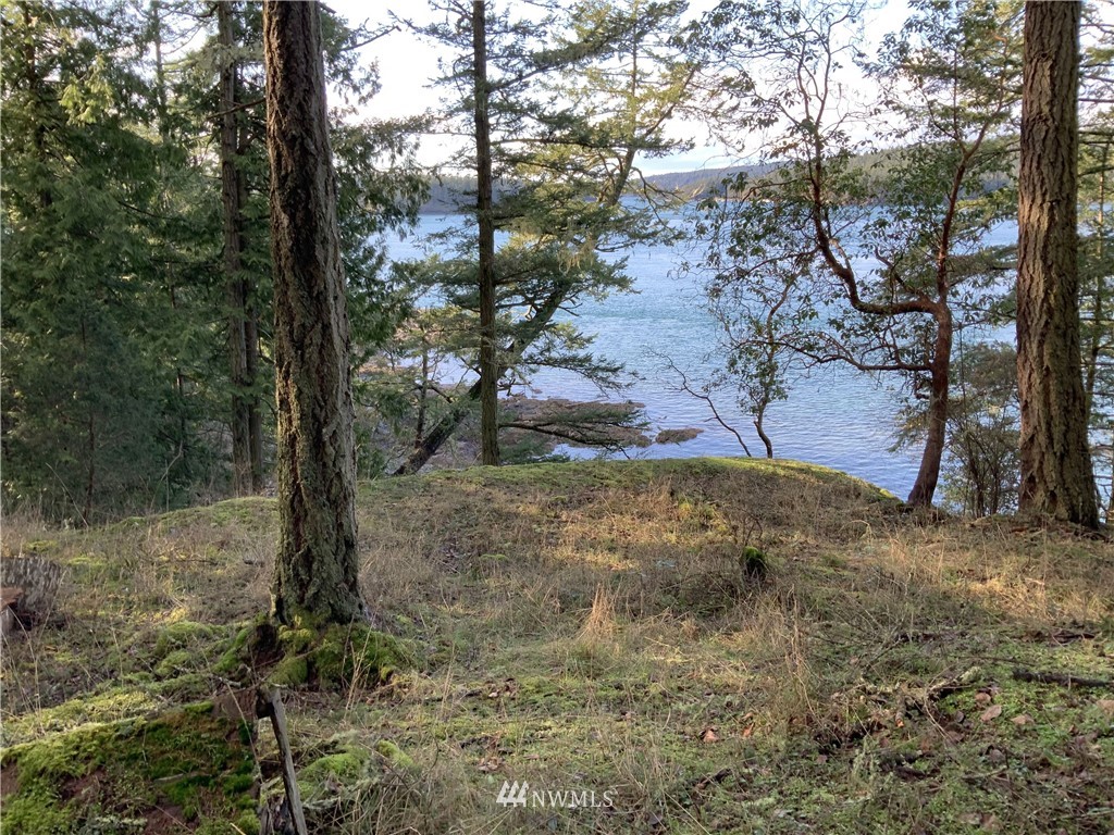 685 Broken Point Road Shaw Island, WA 98286 - Photo 2 of 15 a view of a yard with trees