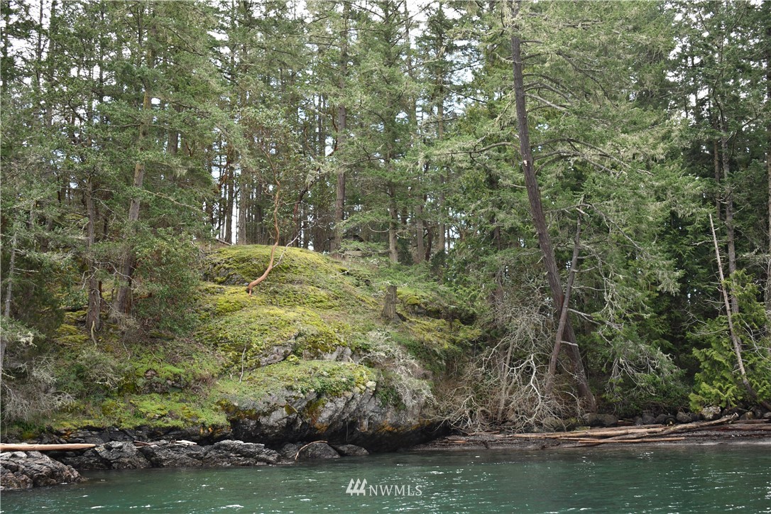 685 Broken Point Road Shaw Island, WA 98286 - Photo 14 of 15 a view of a lake with houses