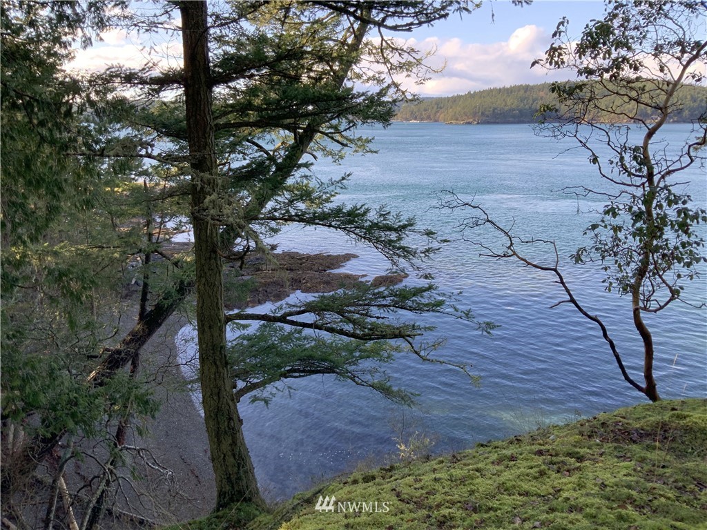 685 Broken Point Road Shaw Island, WA 98286 - Photo 3 of 15 a view of a yard with plants and trees