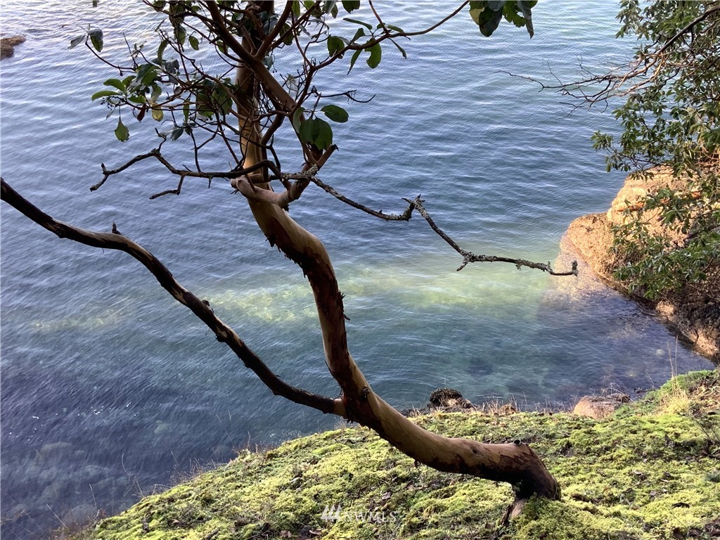 685 Broken Point Road Shaw Island, WA 98286 - Photo 4 of 15 a view of a backyard