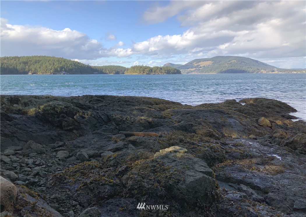 685 Broken Point Road Shaw Island, WA 98286 - Photo 8 of 15 a view of beach and ocean