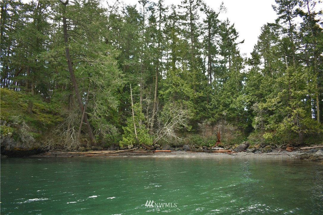 685 Broken Point Road Shaw Island, WA 98286 - Photo 10 of 15 a view of yard with green space