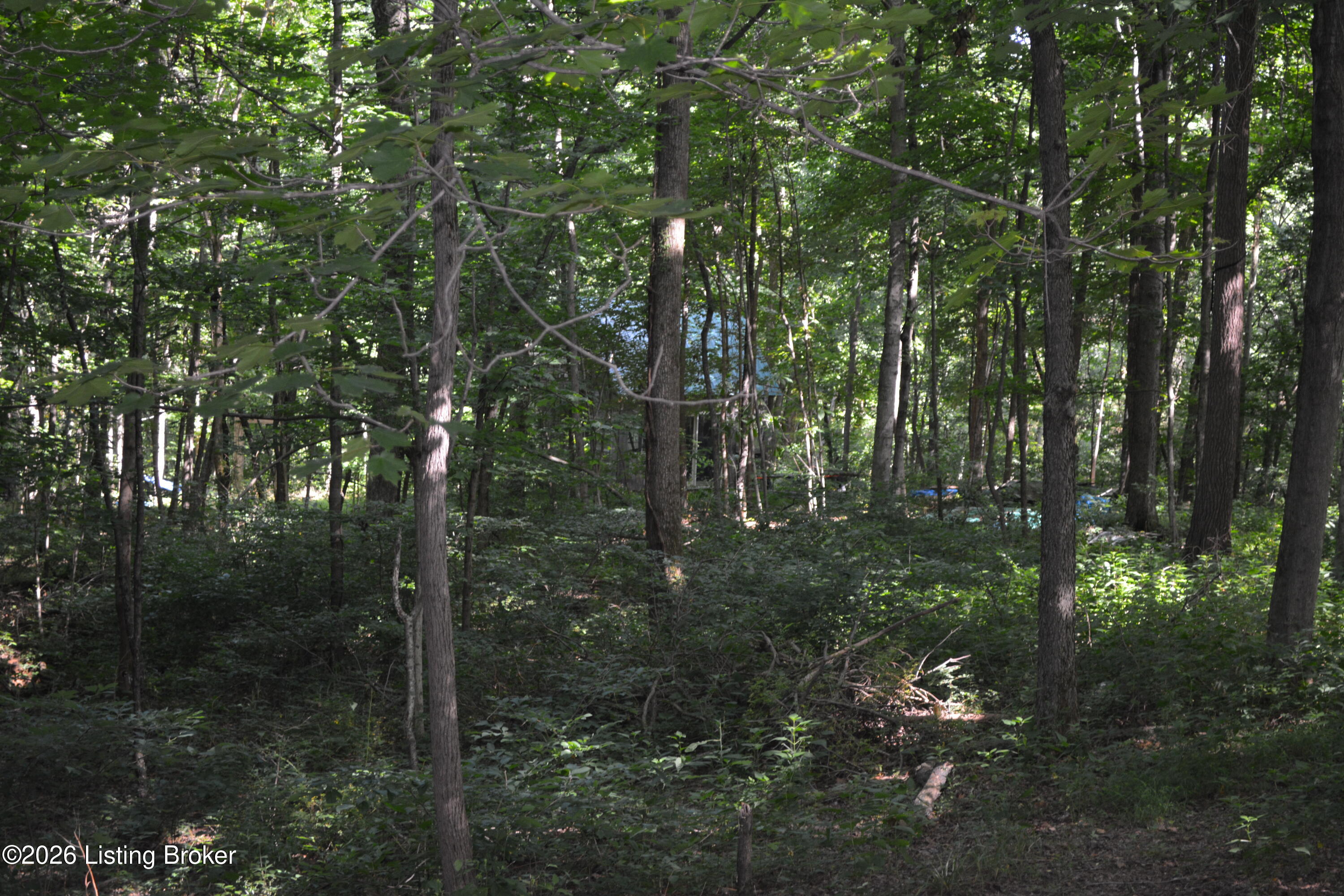 0 Bray Ridge Road Bedford, KY 40006 - Photo 24 of 34 DSC_6167