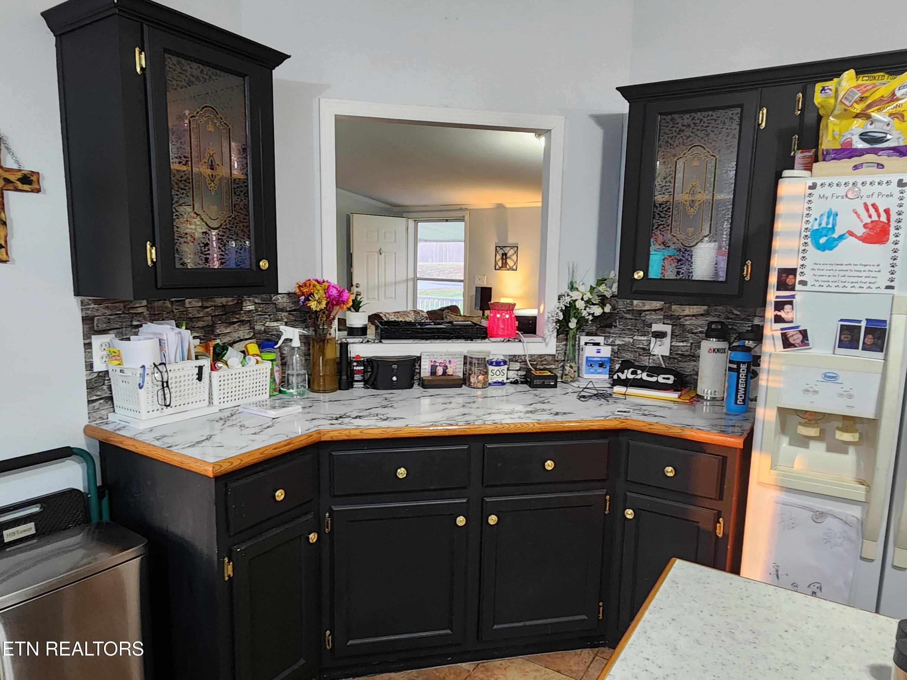 1679 Kingtown Road Winfield, TN 37892 - Photo 7 of 21 Plenty of Countertop Area