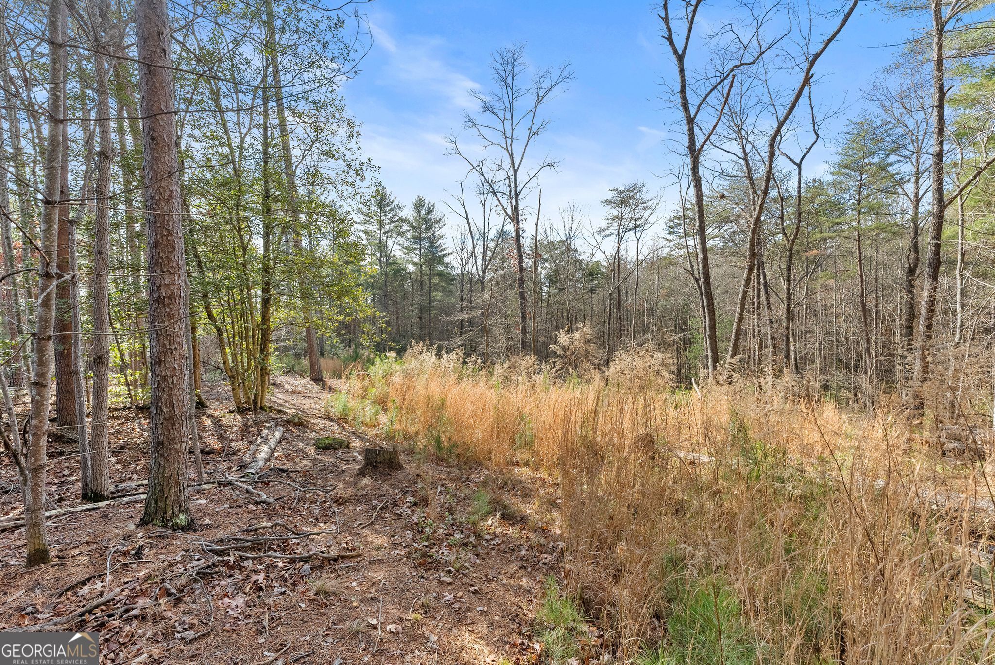 1361 Soque Ridge Circle Demorest, GA 30535 - Photo 3 of 10 a view of a yard
