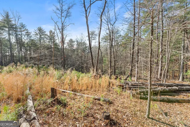 a view of backyard of a house