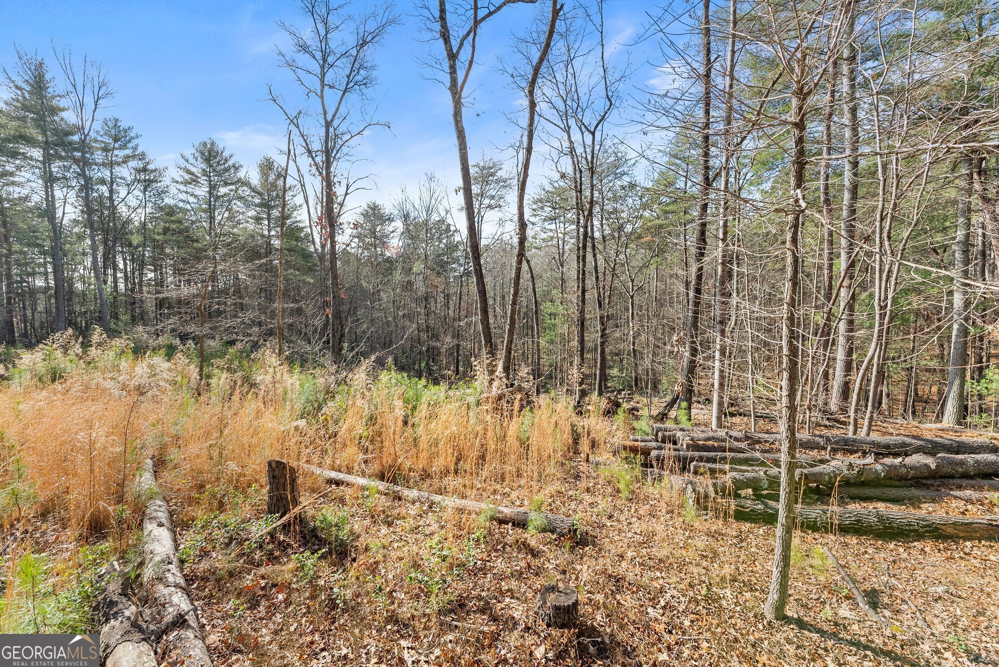 1361 Soque Ridge Circle Demorest, GA 30535 - Photo 4 of 10 a view of backyard of a house