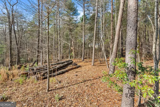 a view of a backyard
