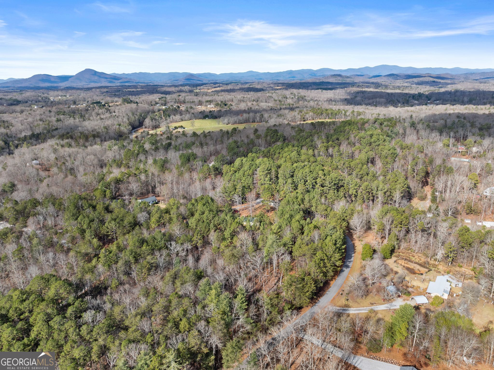1361 Soque Ridge Circle Demorest, GA 30535 - Photo 10 of 10 a view of a lush green forest with trees in the background
