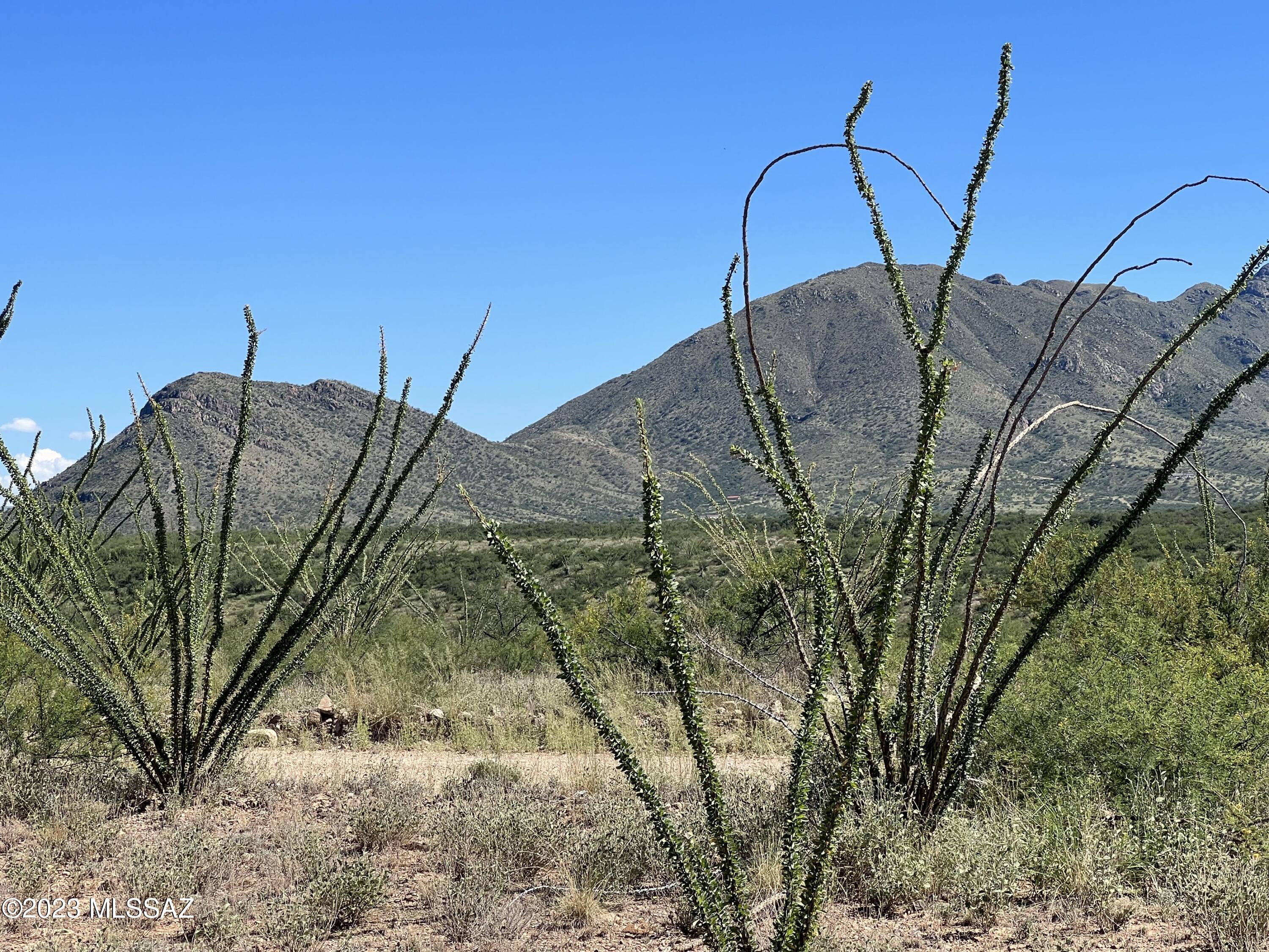 Tbd Camino Nacozari, Unit 71 Rio Rico, AZ 85648 - Photo 14 of 19 Mountain Views