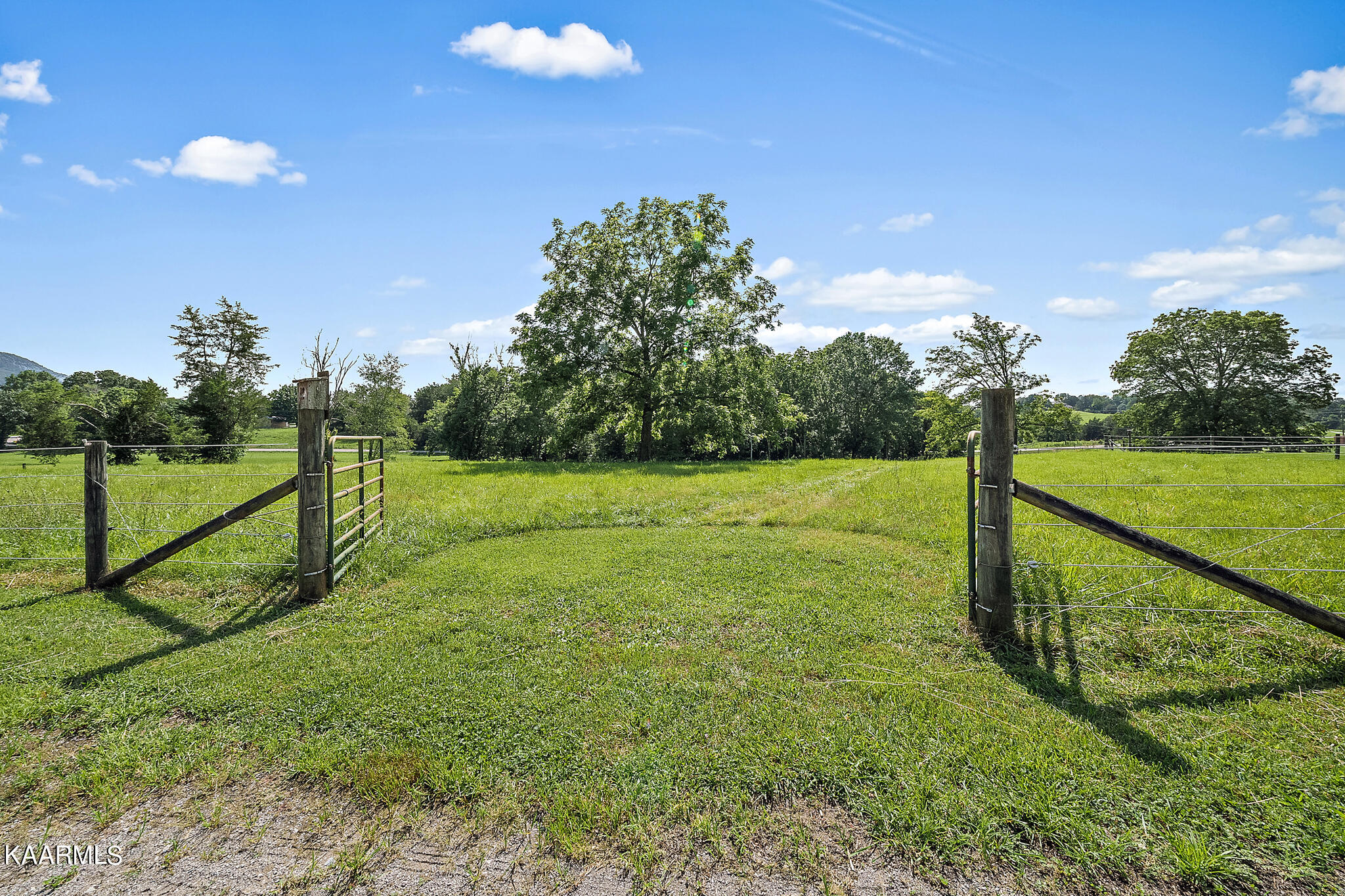 7106 Corryton Road Corryton, TN 37721 - Photo 47 of 56 DSC07393