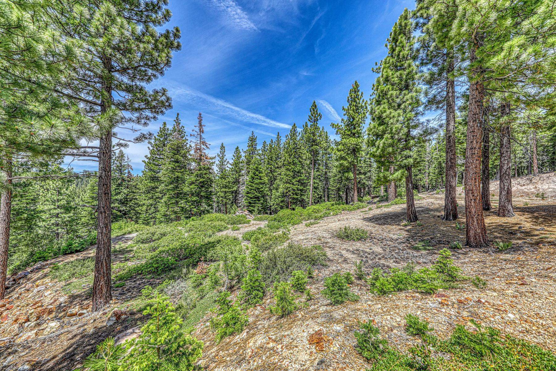 16145 Martis Peak Road Truckee, CA 96161 - Photo 18 of 21