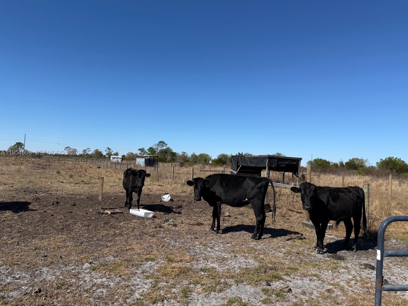 286 Lott Grade Venus, FL 33960 - Photo 12 of 17