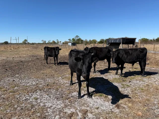 $165,000 | 286 Lott Grade, Venus, FL 33960