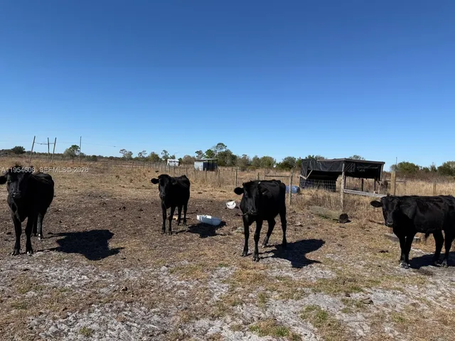 $165,000 | 286 Lott Grade, Venus, FL 33960