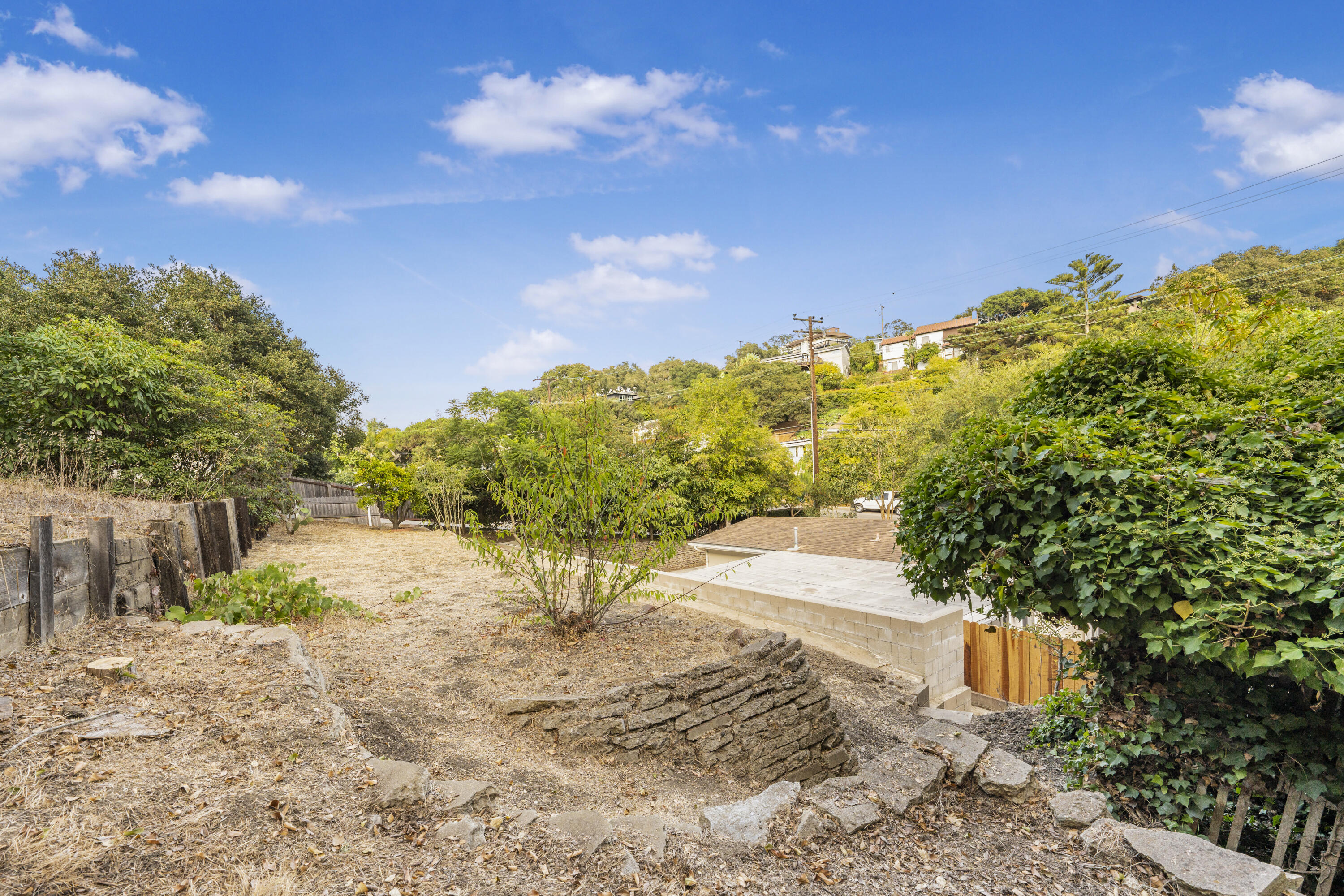 901 Fellowship Road Santa Barbara, CA 93109 - Photo 33 of 44 a view of a yard with plants and a large tree