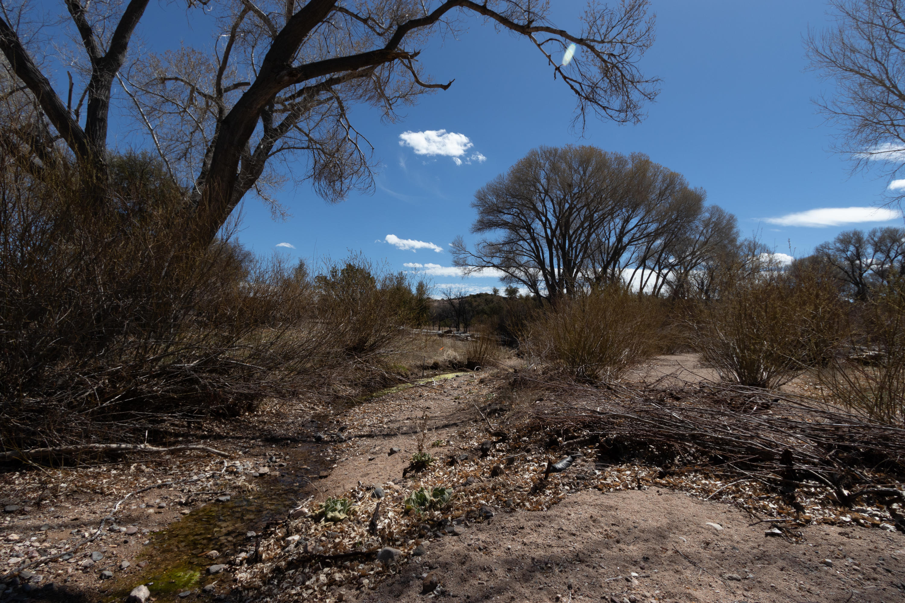 950 Grisby Road Skull Valley, AZ 86338 - Photo 54 of 65 IMG_9973