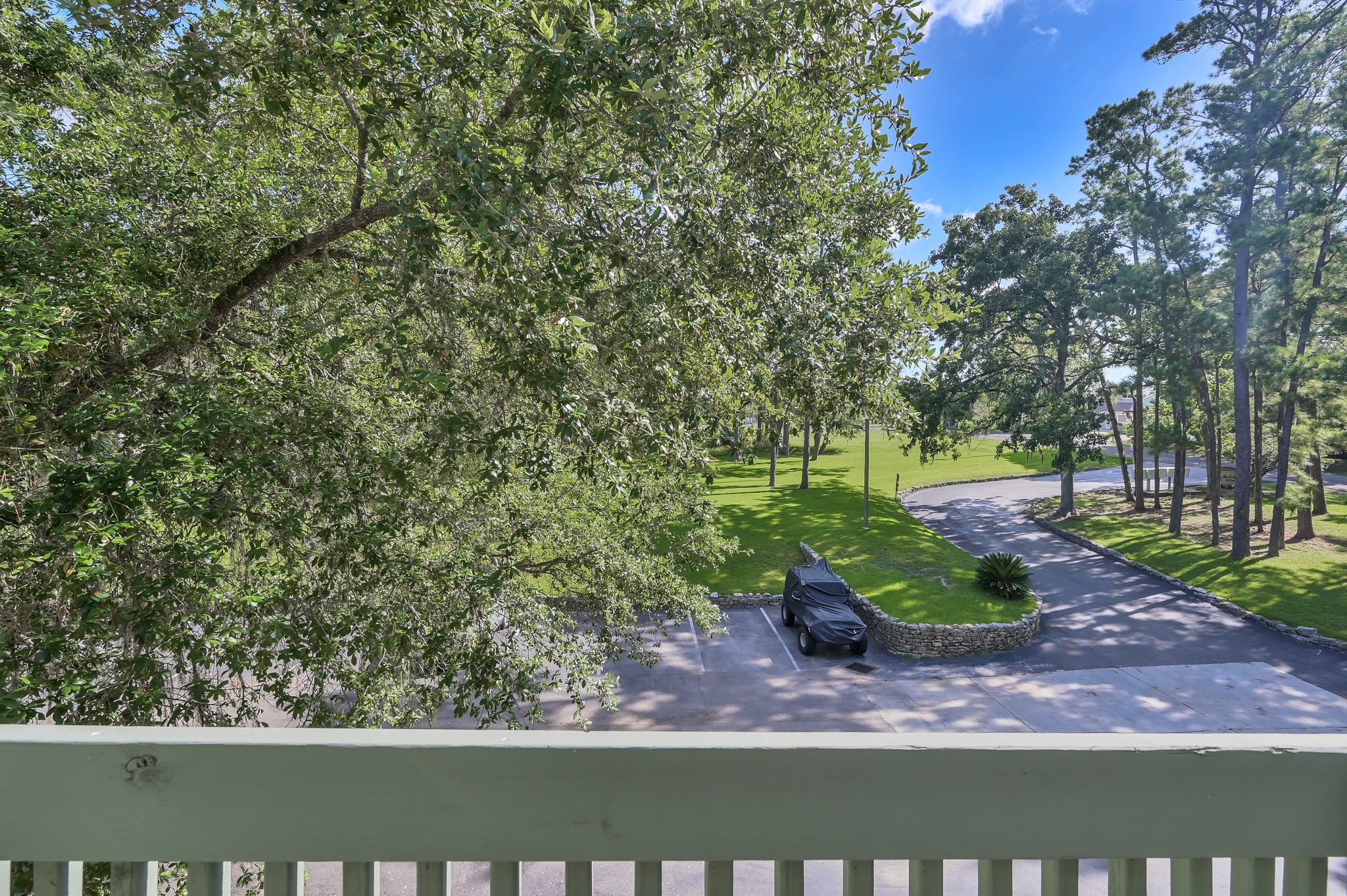 162 Villa Way Coldspring, TX 77331 - Photo 13 of 42 a view of a yard with large trees