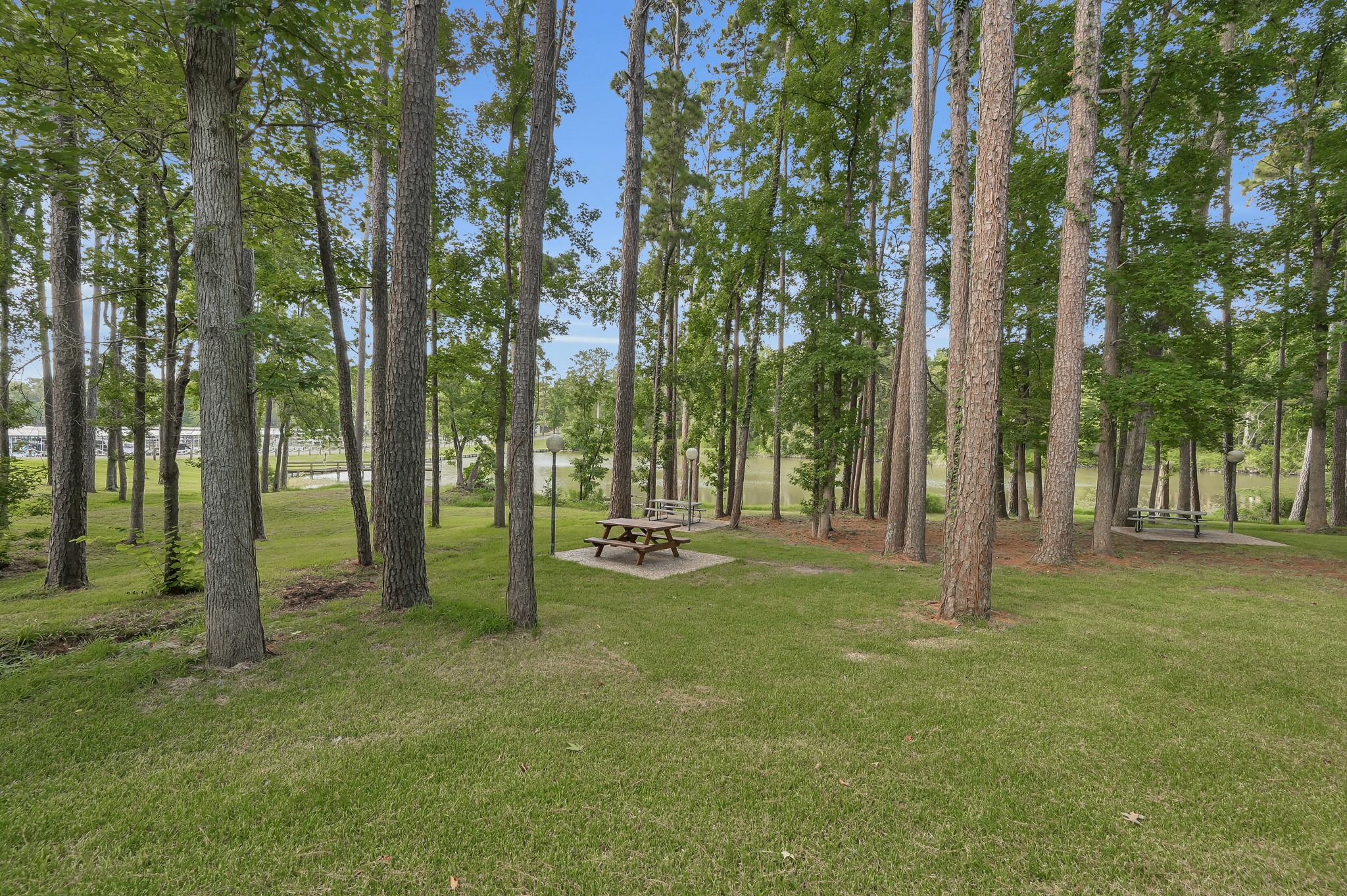 162 Villa Way Coldspring, TX 77331 - Photo 28 of 42 a view of yard with trees