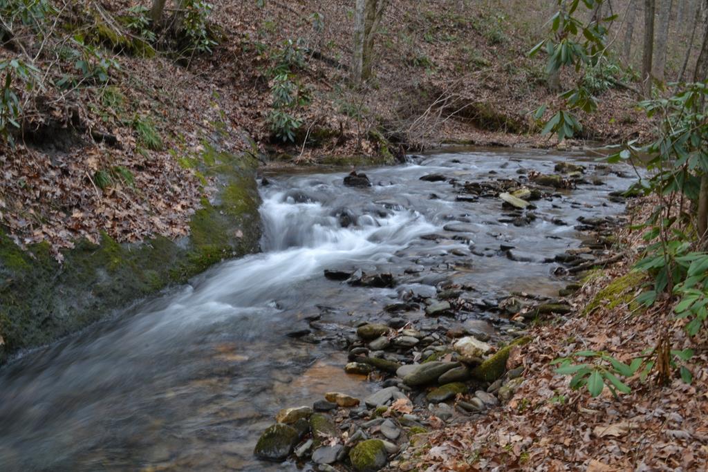 18-19 Sarvis Road Hayesville, NC 28904 - Photo 7 of 12