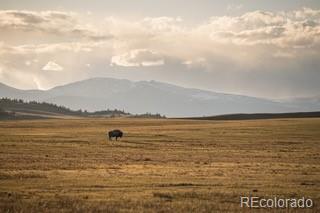 33185-9 9th Hartsel, CO 80449 - Photo 5 of 20
