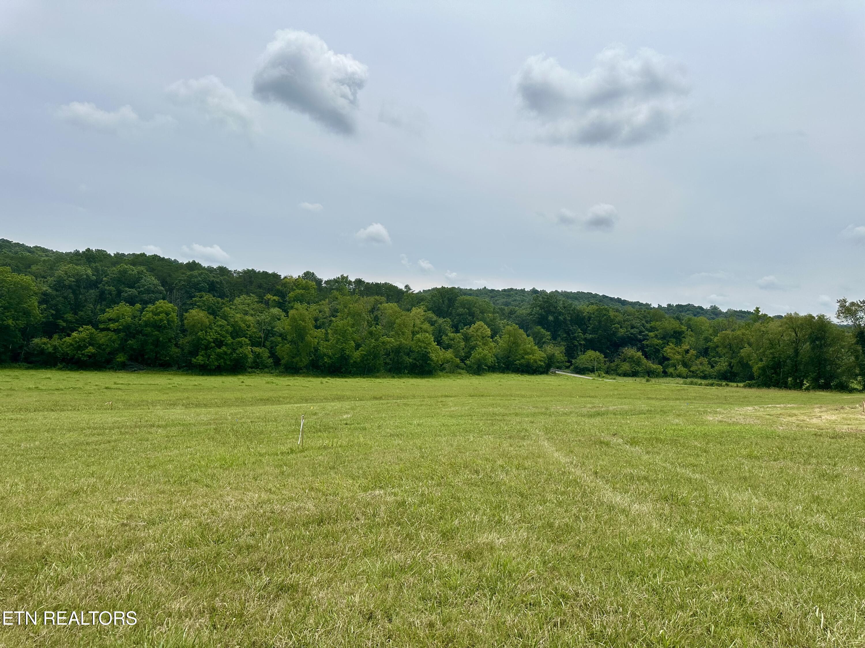 Lot 8 Rutledge Pike Blaine, TN 37709 - Photo 1 of 4 IMG_1347