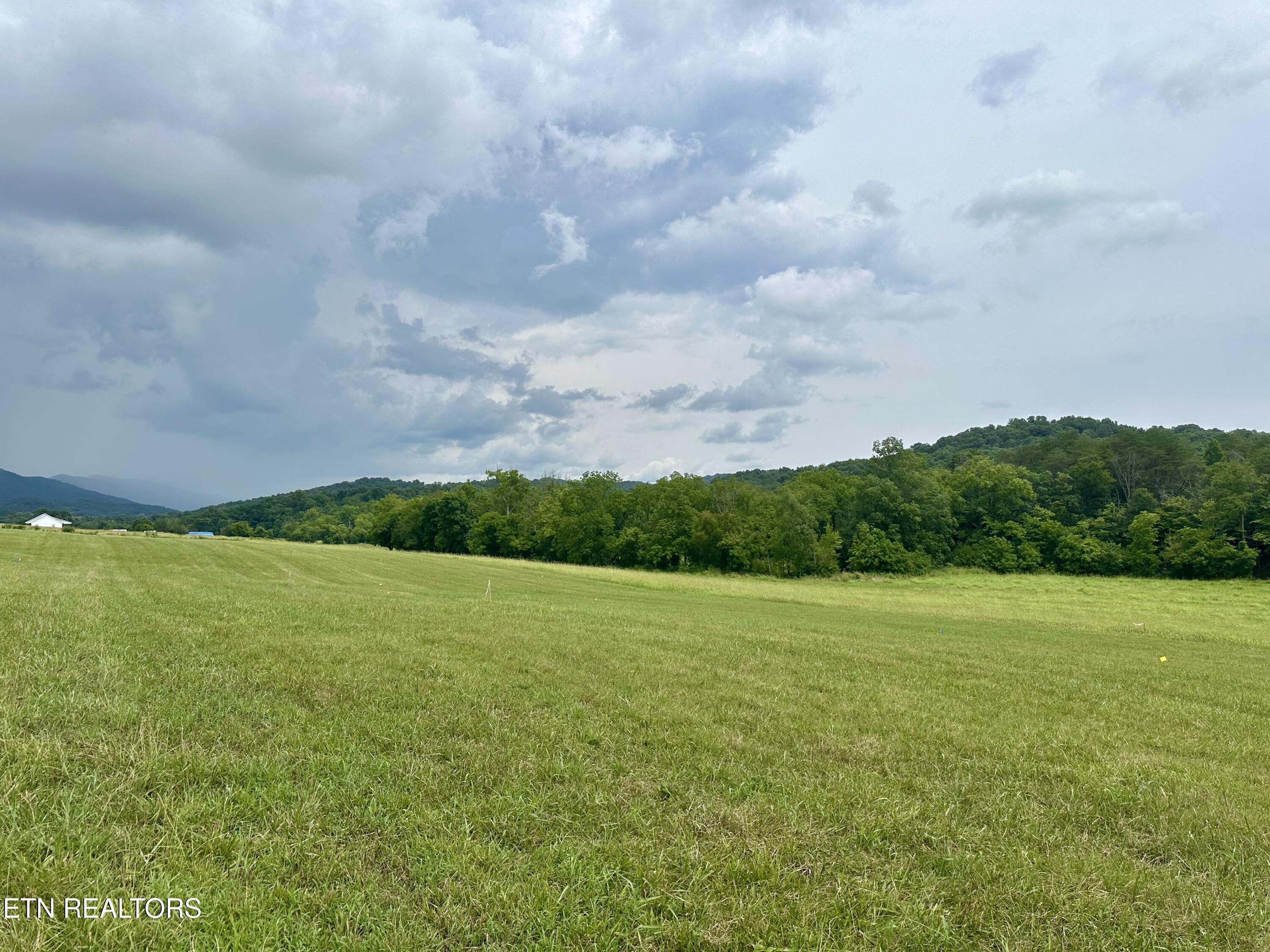 Lot 8 Rutledge Pike Blaine, TN 37709 - Photo 3 of 4 IMG_1346
