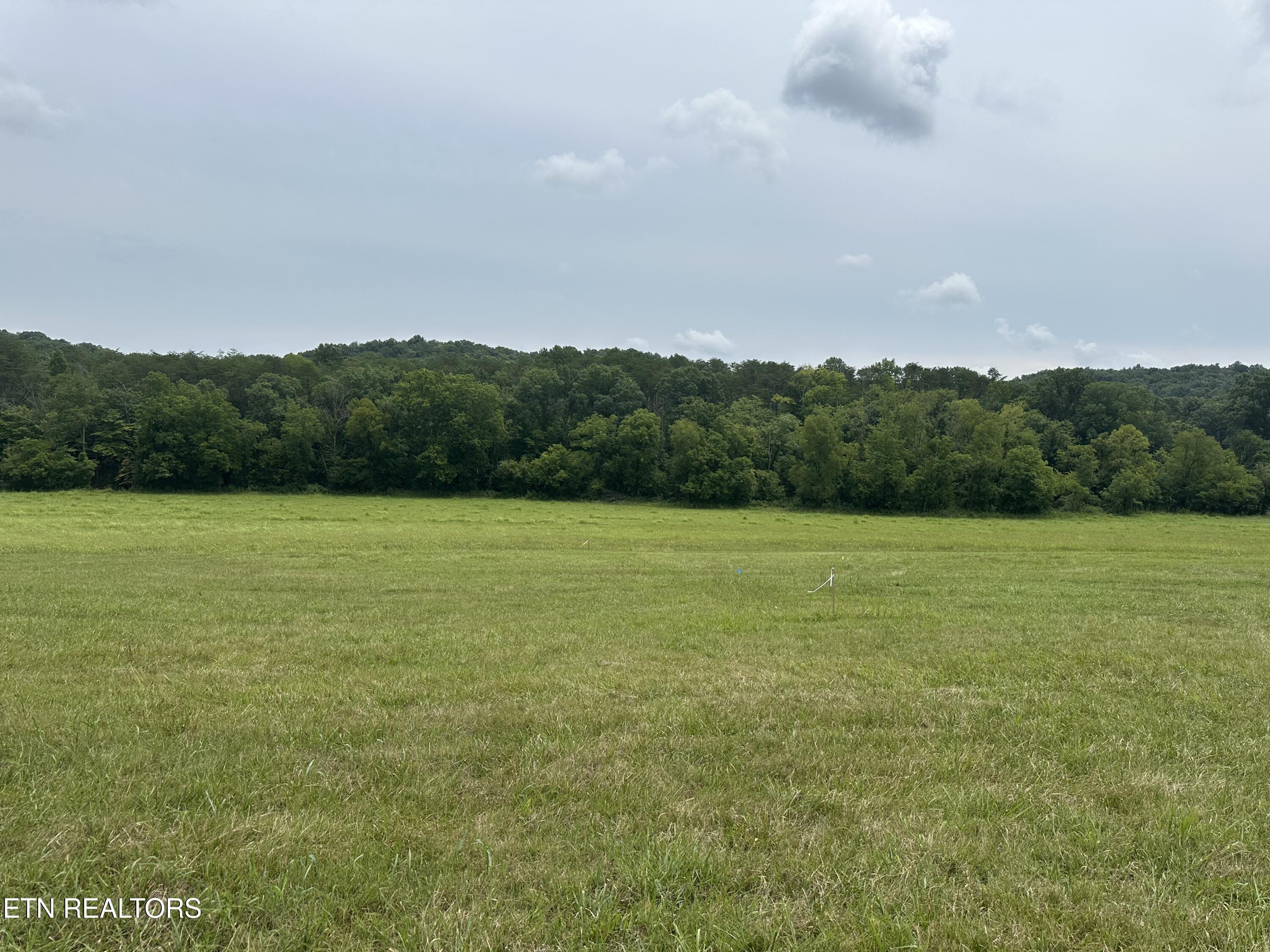 Lot 8 Rutledge Pike Blaine, TN 37709 - Photo 4 of 4 IMG_1345
