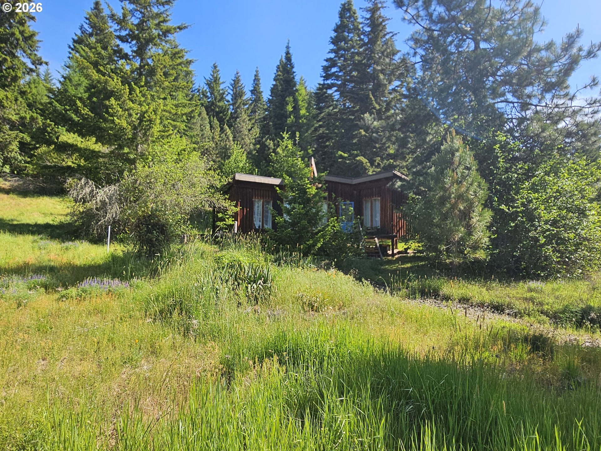 983 Snowden Road White Salmon, WA 98672 - Photo 5 of 22 a view of house with yard