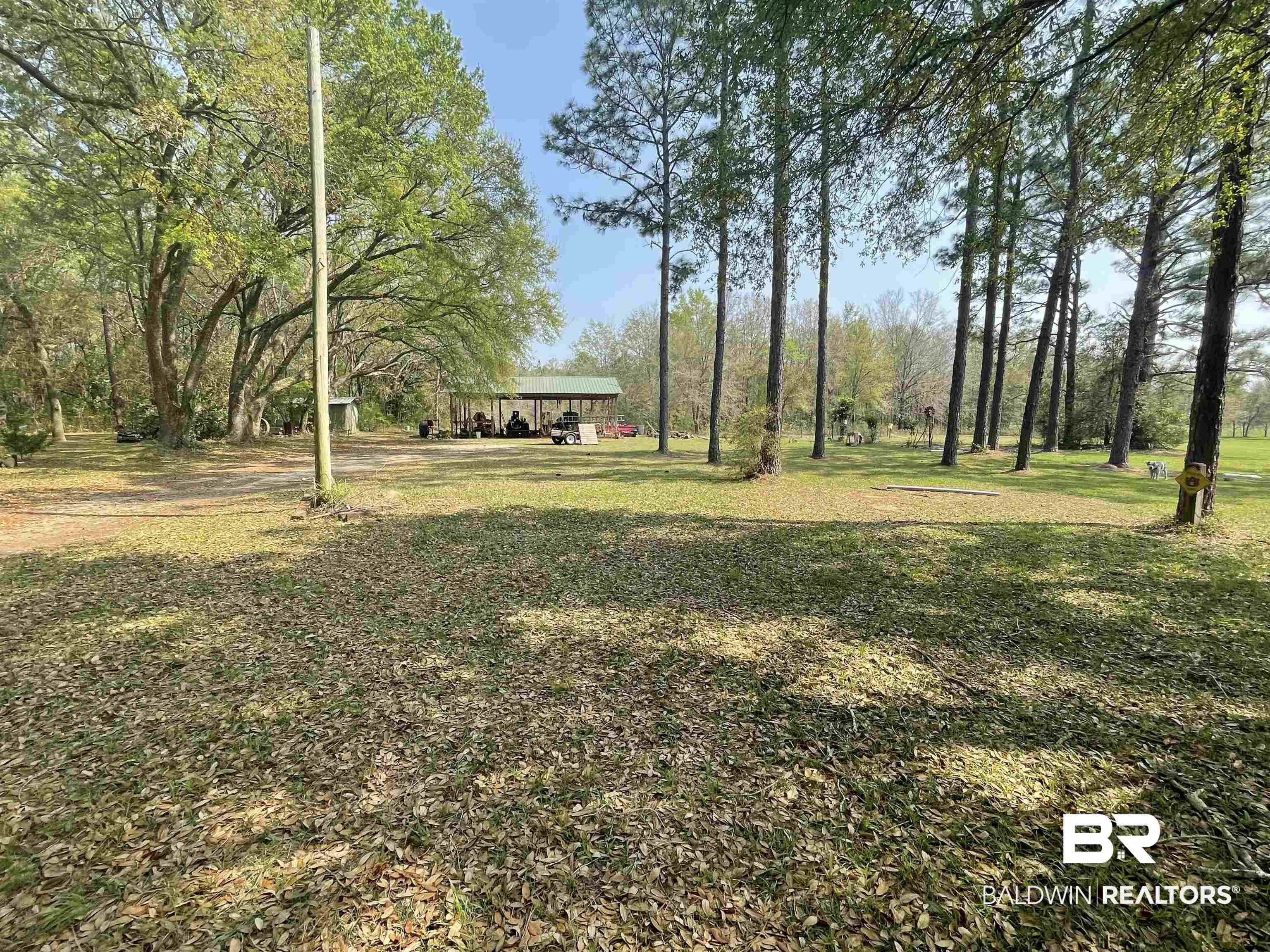 21320 Bohemian Hall Road Silverhill, AL 36576 - Photo 5 of 14