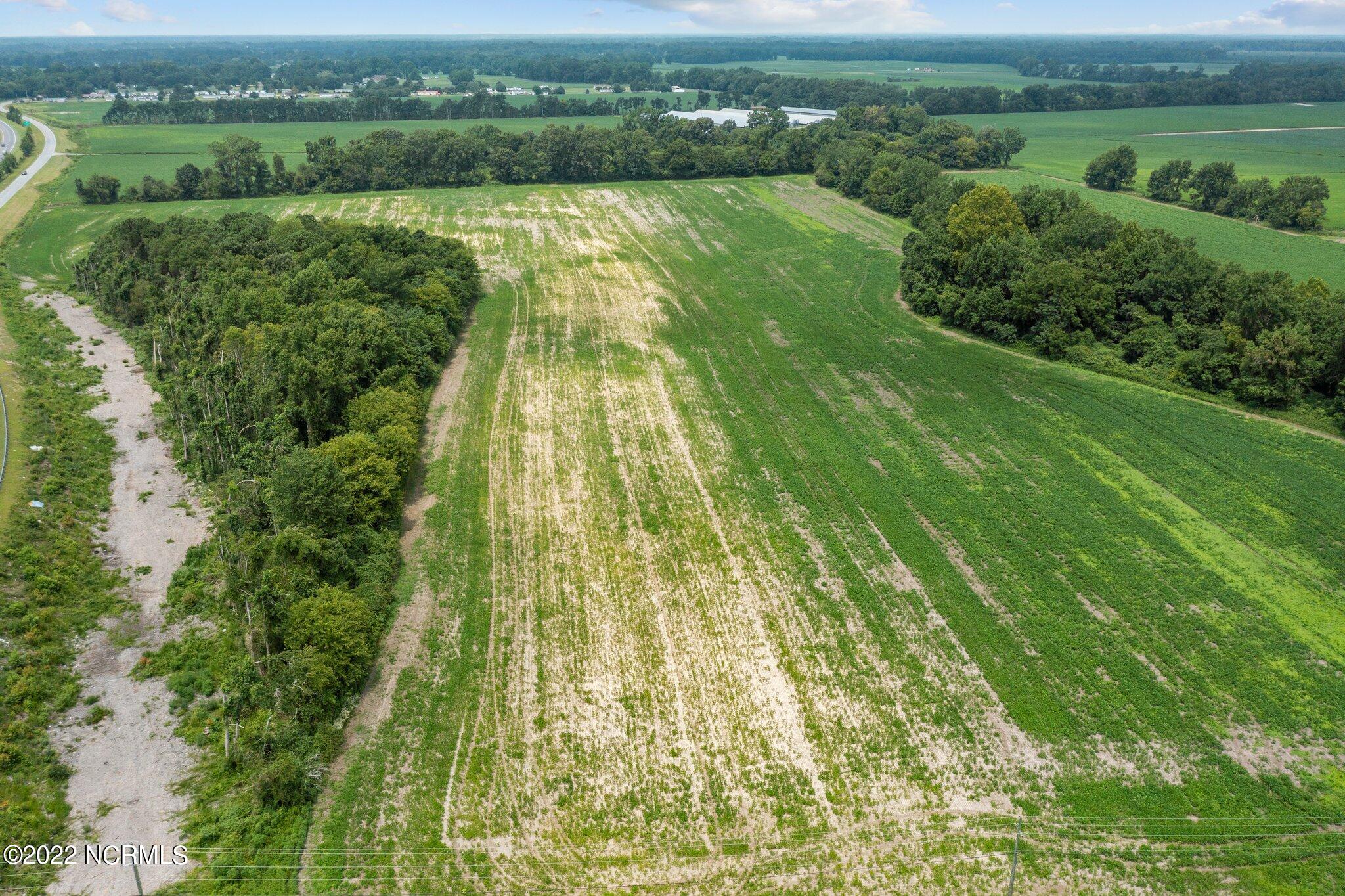 0 Flemming School Road Greenville, NC 27834 - Photo 13 of 13 8-web-or-mls-DJI_0439