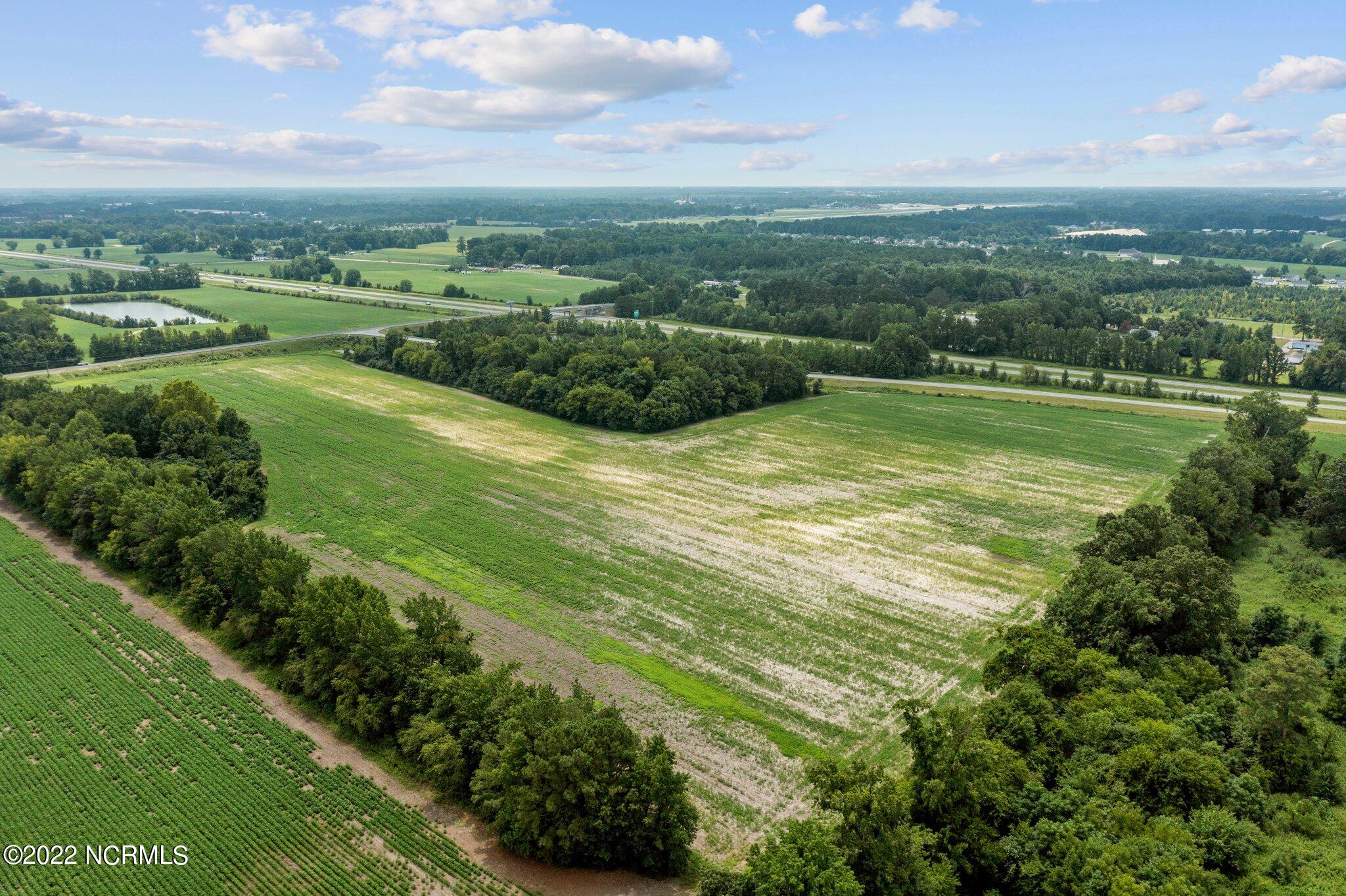 0 Flemming School Road Greenville, NC 27834 - Photo 9 of 13 4-web-or-mls-DJI_0435