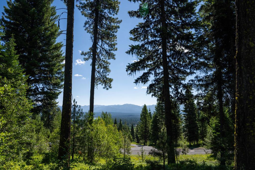 645 Migratory Rdg Way, Unit 79 McCall, ID 83638 - Photo 1 of 5 Main View
