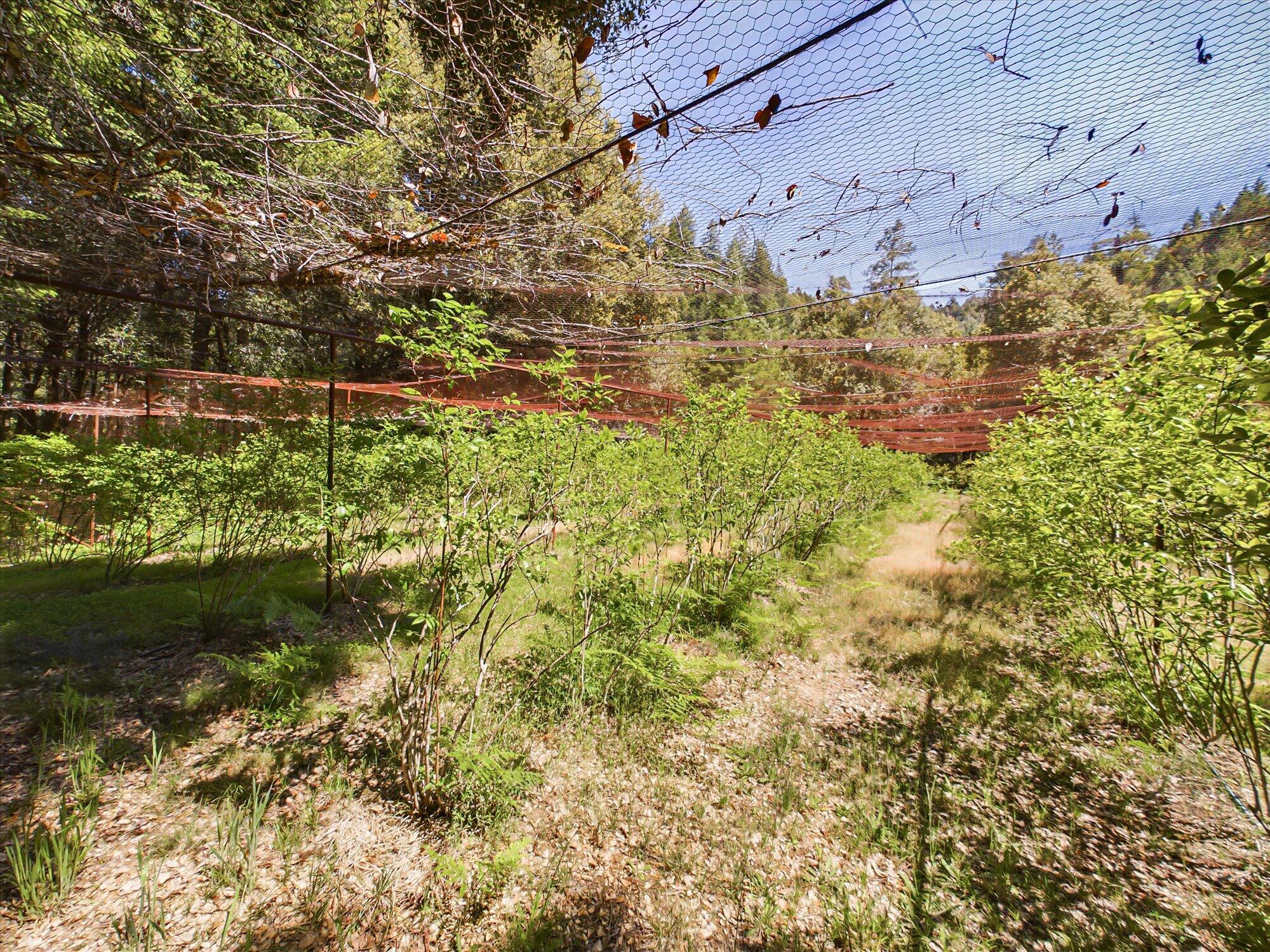 5500 Goodman Ranch Road Garberville, CA 95542 - Photo 105 of 153