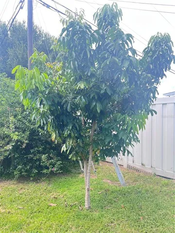 a backyard of a house with lots of green space