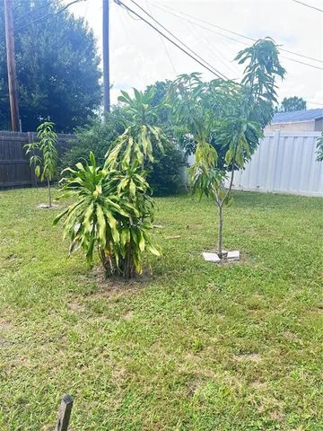 a view of a garden with a tree