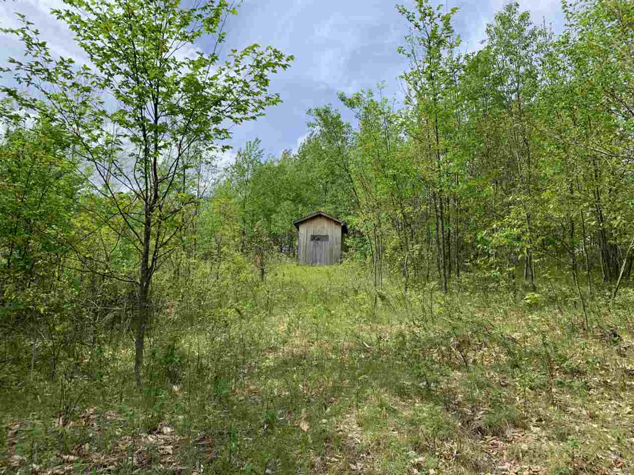 40 South 17 Road Boon, MI 49618 - Photo 17 of 33