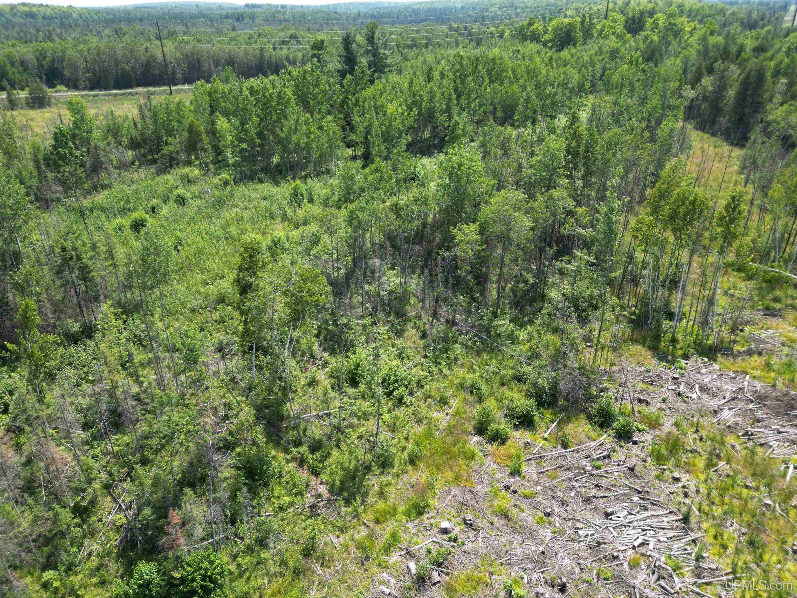 Tbd Cr 400 Road, Unit 23 Perronville, MI 49873 - Photo 15 of 19