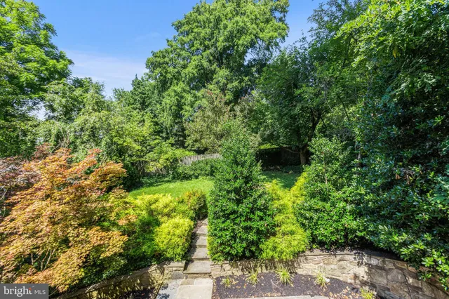a view of a back yard