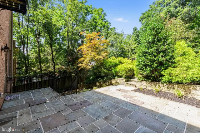 a view of a yard with plants and large trees