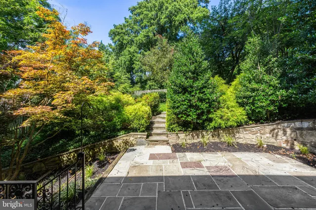 a view of a garden with a tree