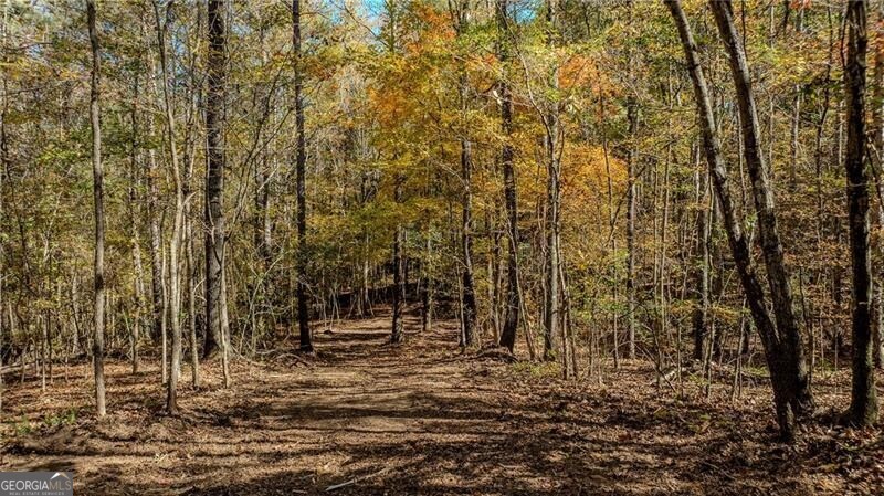 0 Jones Ferry Road, Unit 2 Palmetto, GA 30268 - Photo 3 of 4